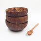 2 PCS Natural Coconut Bowl + Wood Spoon Set